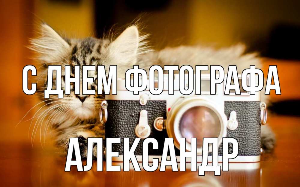 Открытка на каждый день с именем, Александр С днем фотографа с днем фотографа Прикольная открытка с пожеланием онлайн скачать бесплатно 
