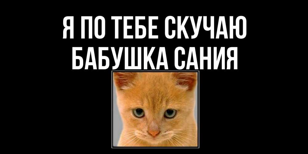 Открытка на каждый день с именем, Бабушка-Сания Я по тебе скучаю открытки рыжий котенок скучает по тебе Прикольная открытка с пожеланием онлайн скачать бесплатно 