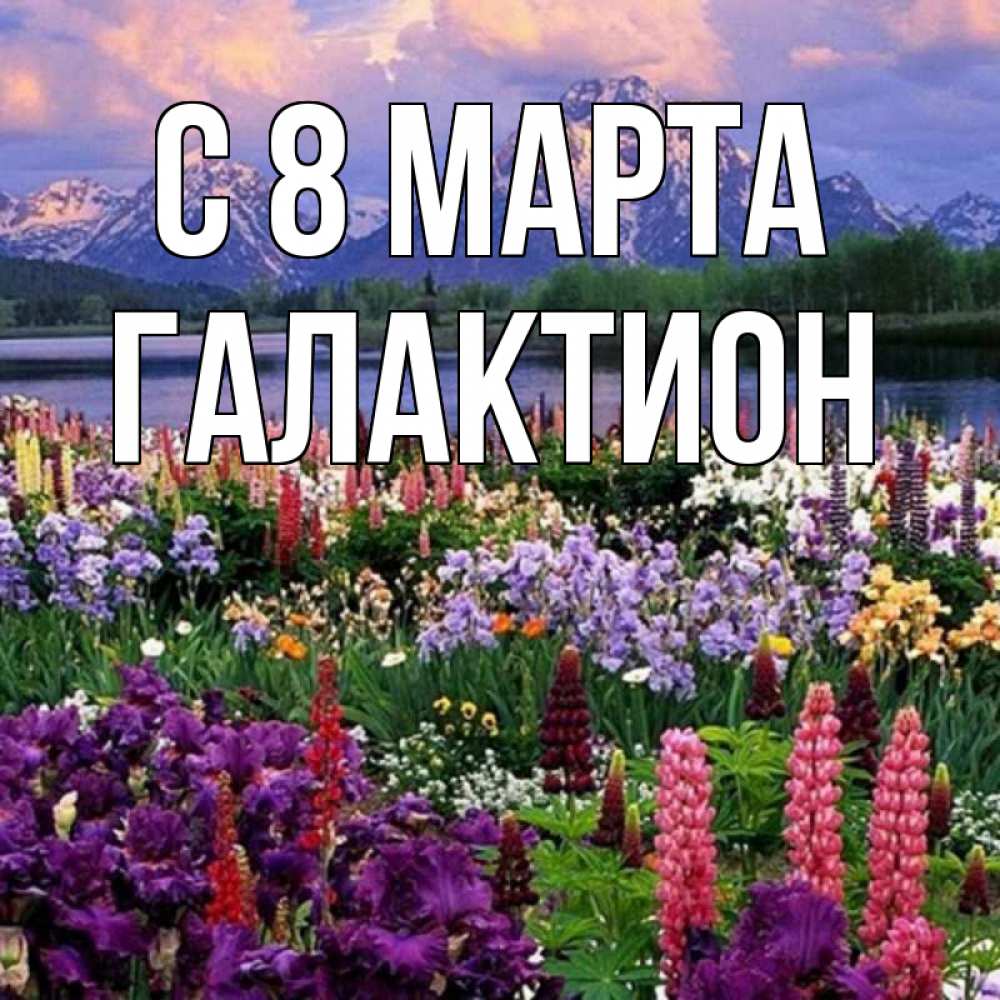 Открытка на каждый день с именем, Галактион С 8 МАРТА международный женский день Прикольная открытка с пожеланием онлайн скачать бесплатно 