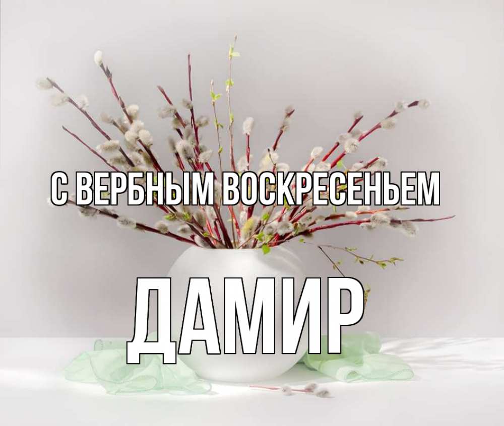 Открытка на каждый день с именем, Дамир С вербным воскресеньем верба Прикольная открытка с пожеланием онлайн скачать бесплатно 