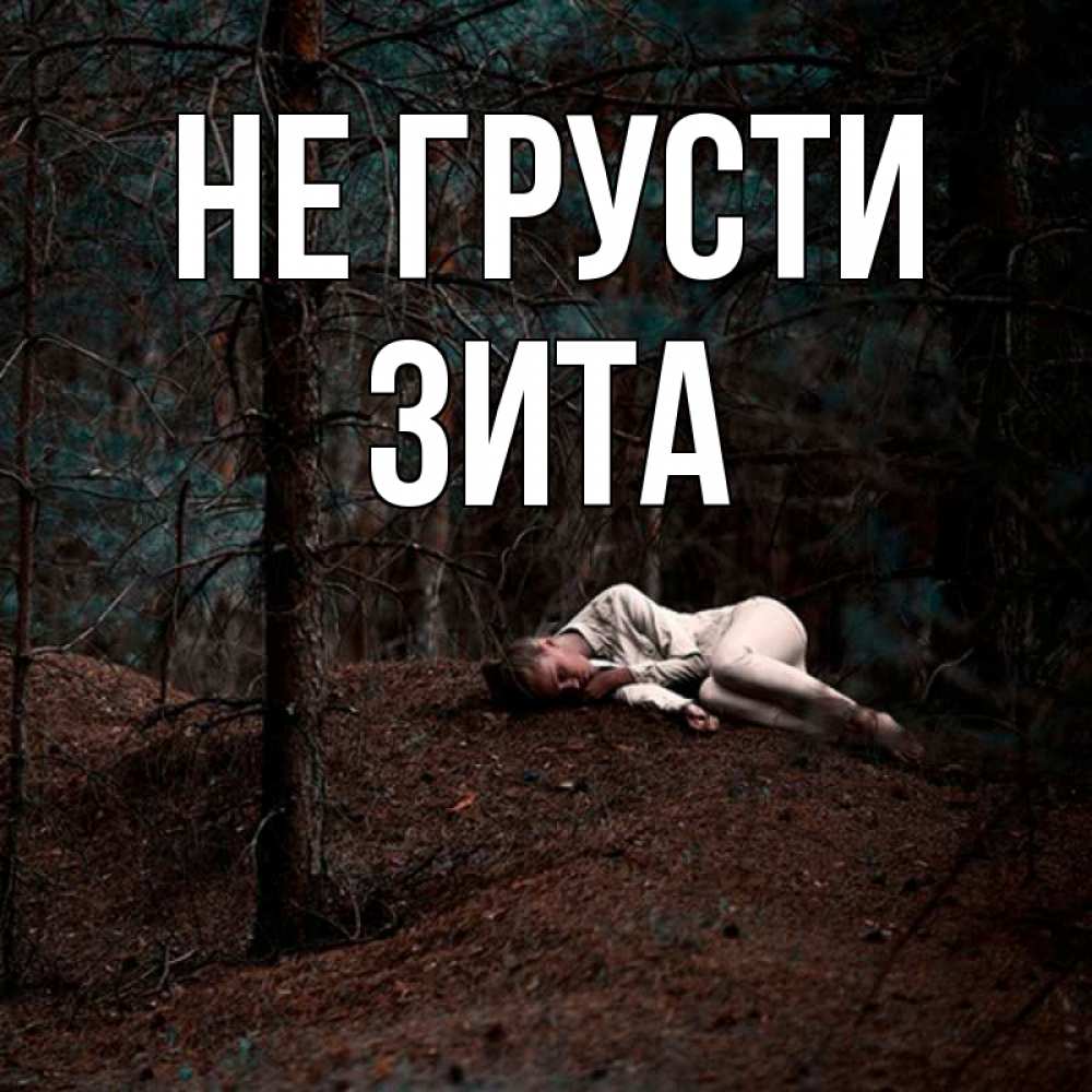 Открытка на каждый день с именем, Зита Не грусти лес Прикольная открытка с пожеланием онлайн скачать бесплатно 
