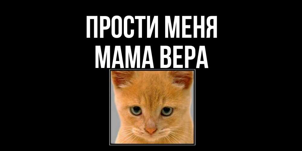 Открытка на каждый день с именем, Мама-Вера Прости меня рыжий грустный кот просит прощения Прикольная открытка с пожеланием онлайн скачать бесплатно 