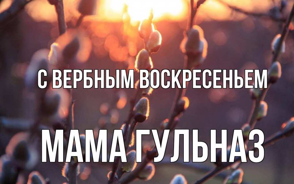 Открытка на каждый день с именем, Мама-Гульназ С вербным воскресеньем верба Прикольная открытка с пожеланием онлайн скачать бесплатно 