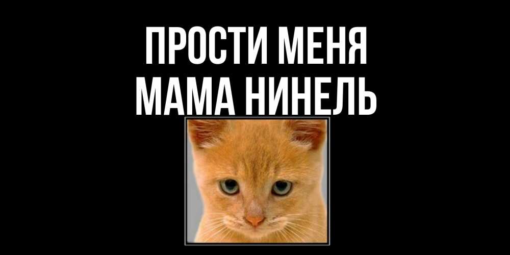 Открытка на каждый день с именем, Мама-Нинель Прости меня рыжий грустный кот просит прощения Прикольная открытка с пожеланием онлайн скачать бесплатно 