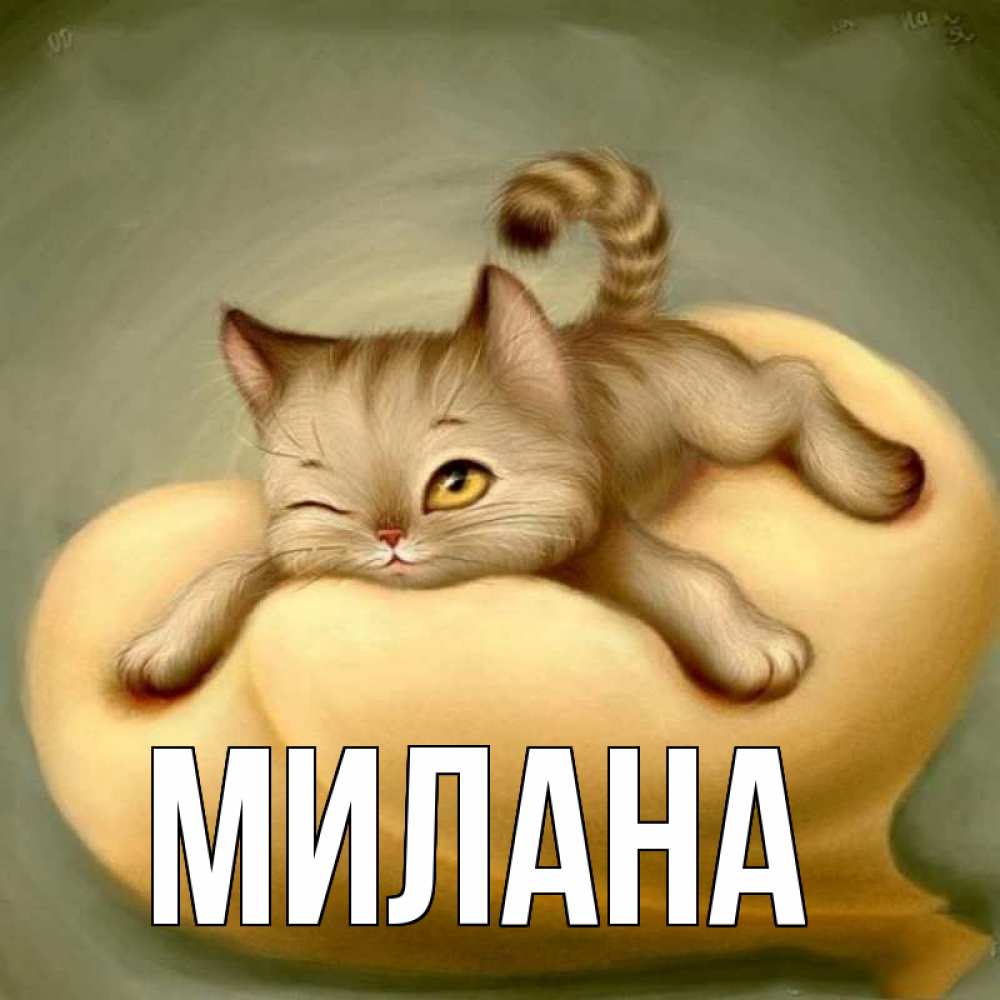 Открытка на каждый день с именем, Милана Главная кошечка Прикольная открытка с пожеланием онлайн скачать бесплатно 