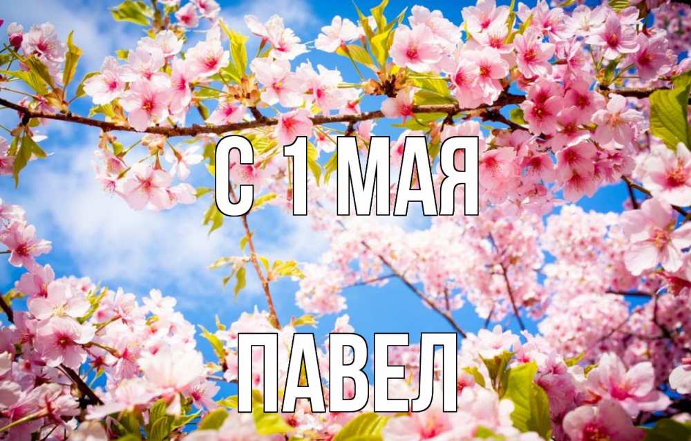 Открытка на каждый день с именем, Павел С 1 мая С 1 мая Прикольная открытка с пожеланием онлайн скачать бесплатно 