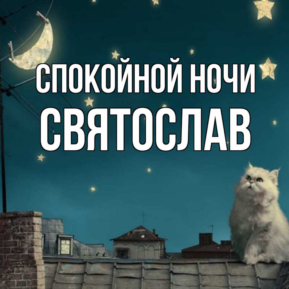 Открытка на каждый день с именем, Святослав Спокойной ночи белый кот сидит на крыше Прикольная открытка с пожеланием онлайн скачать бесплатно 