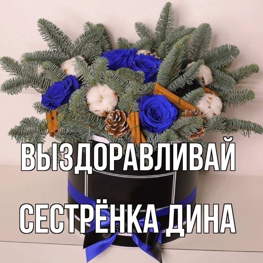 Открытка на каждый день с именем, Сестрёнка-Дина Выздоравливай короче кто то загрузил эти шишки Прикольная открытка с пожеланием онлайн скачать бесплатно 