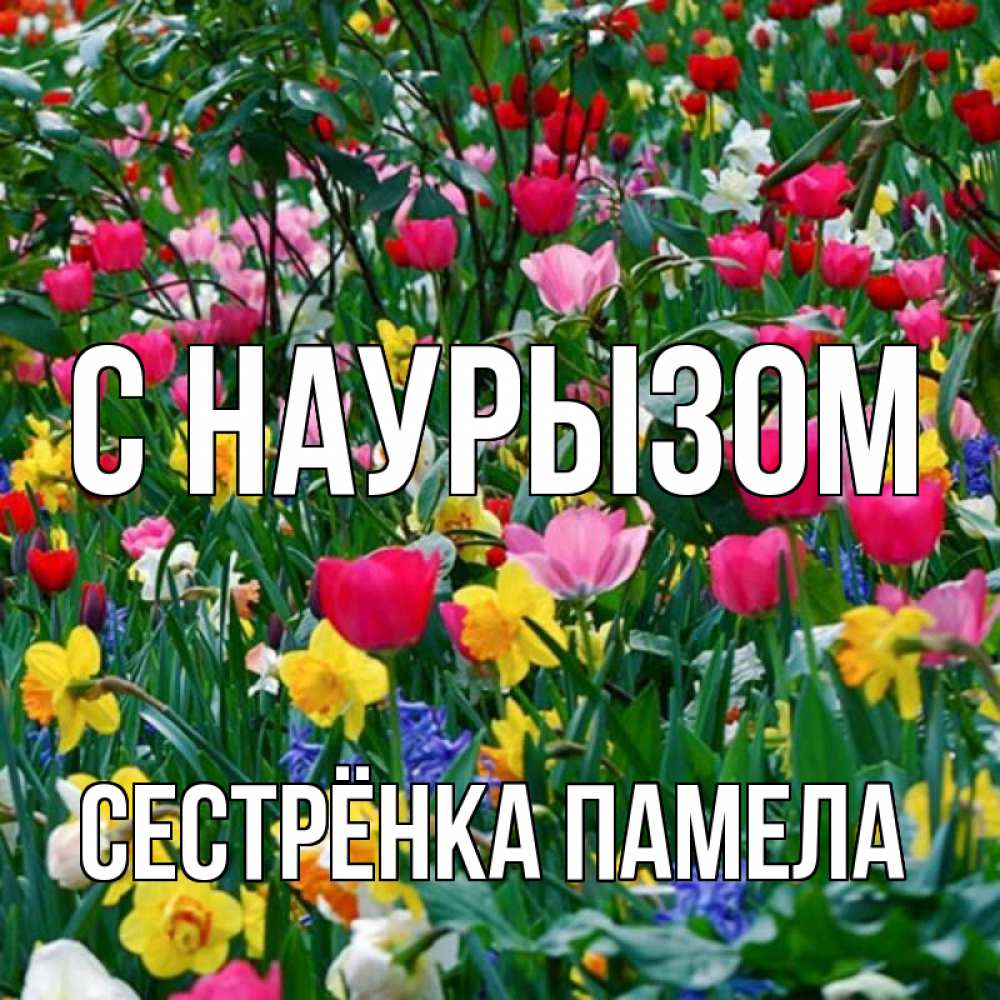 Открытка на каждый день с именем, Сестрёнка-Памела С наурызом с наурызом праздником весны поздравления для женщины Прикольная открытка с пожеланием онлайн скачать бесплатно 