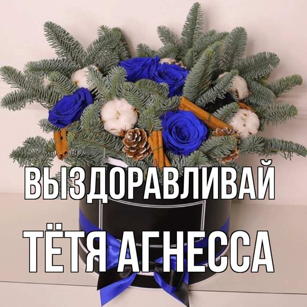 Открытка на каждый день с именем, Тётя-Агнесса Выздоравливай короче кто то загрузил эти шишки Прикольная открытка с пожеланием онлайн скачать бесплатно 