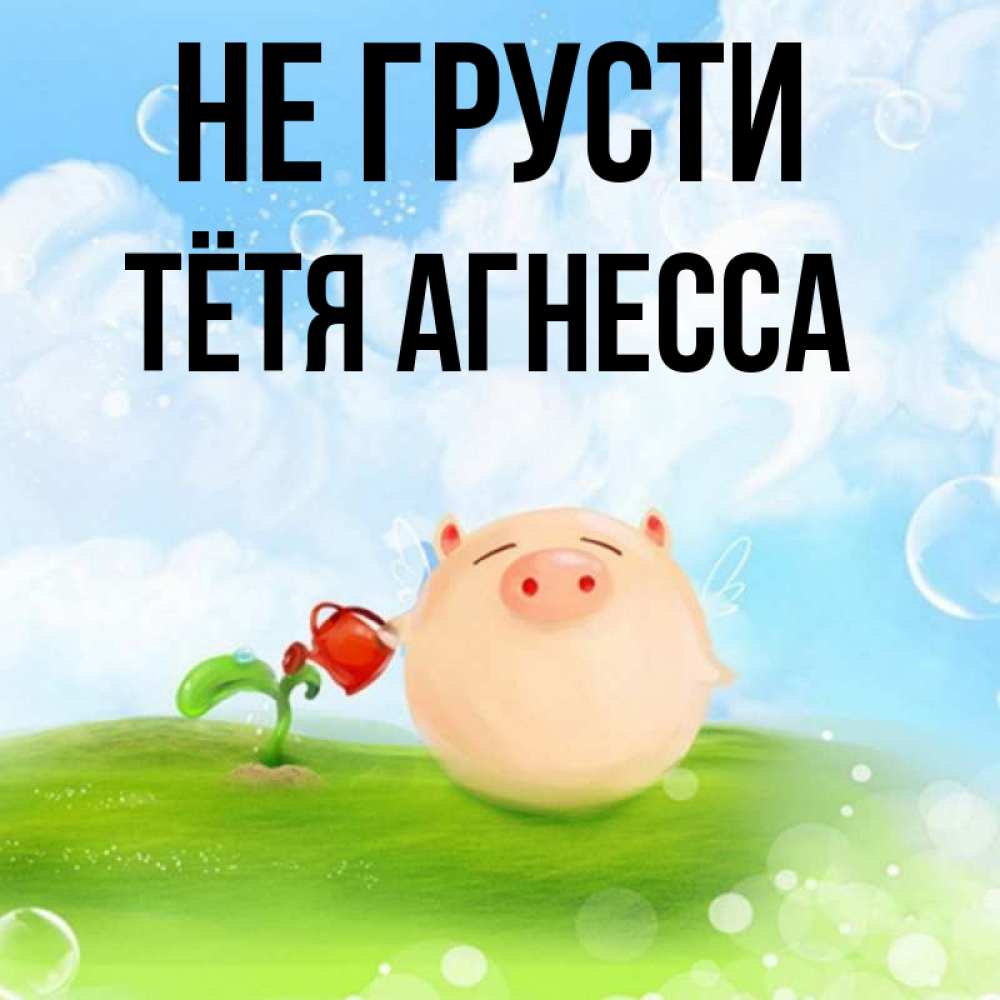 Открытка на каждый день с именем, Тётя-Агнесса Не грусти поливает цветок порося Прикольная открытка с пожеланием онлайн скачать бесплатно 