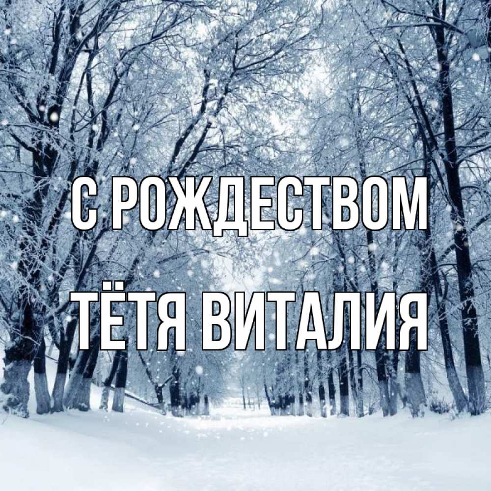 Открытка на каждый день с именем, Тётя-Виталия С рождеством снег, лес, парк Прикольная открытка с пожеланием онлайн скачать бесплатно 