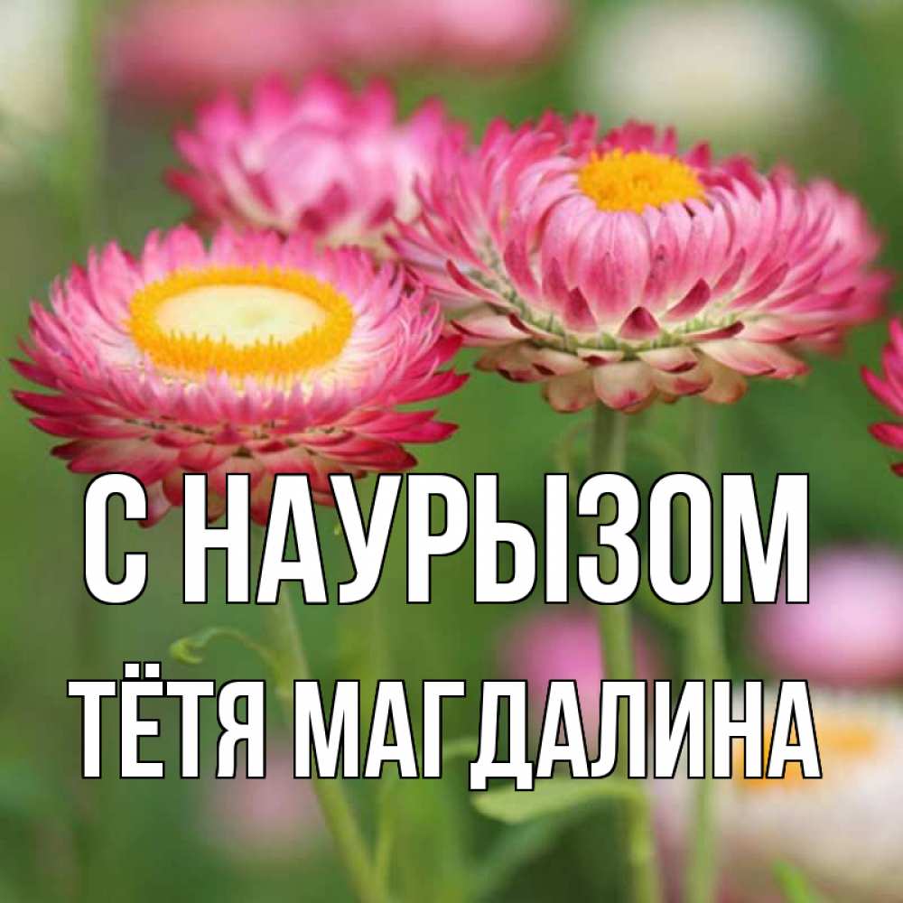 Открытка на каждый день с именем, Тётя-Магдалина С наурызом подарок на международный женский день Прикольная открытка с пожеланием онлайн скачать бесплатно 