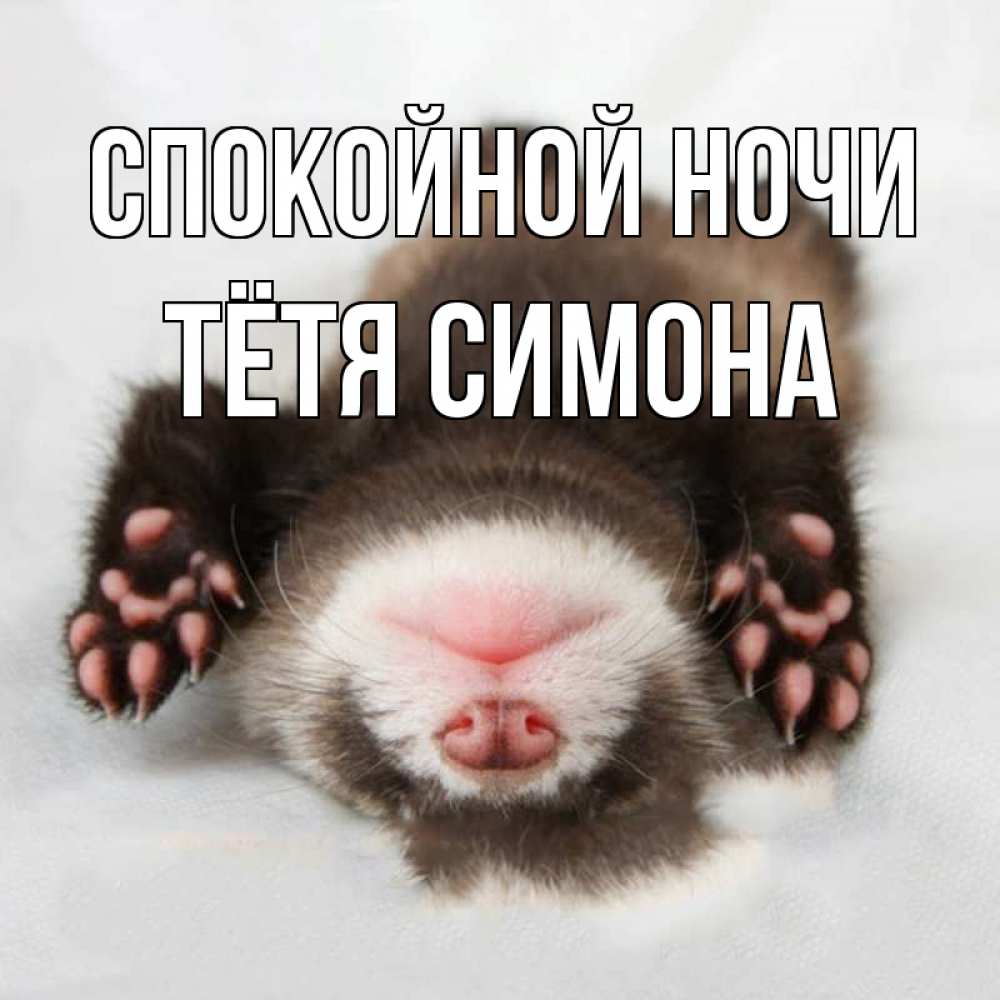 Открытка на каждый день с именем, Тётя-Симона Спокойной ночи зверек Прикольная открытка с пожеланием онлайн скачать бесплатно 