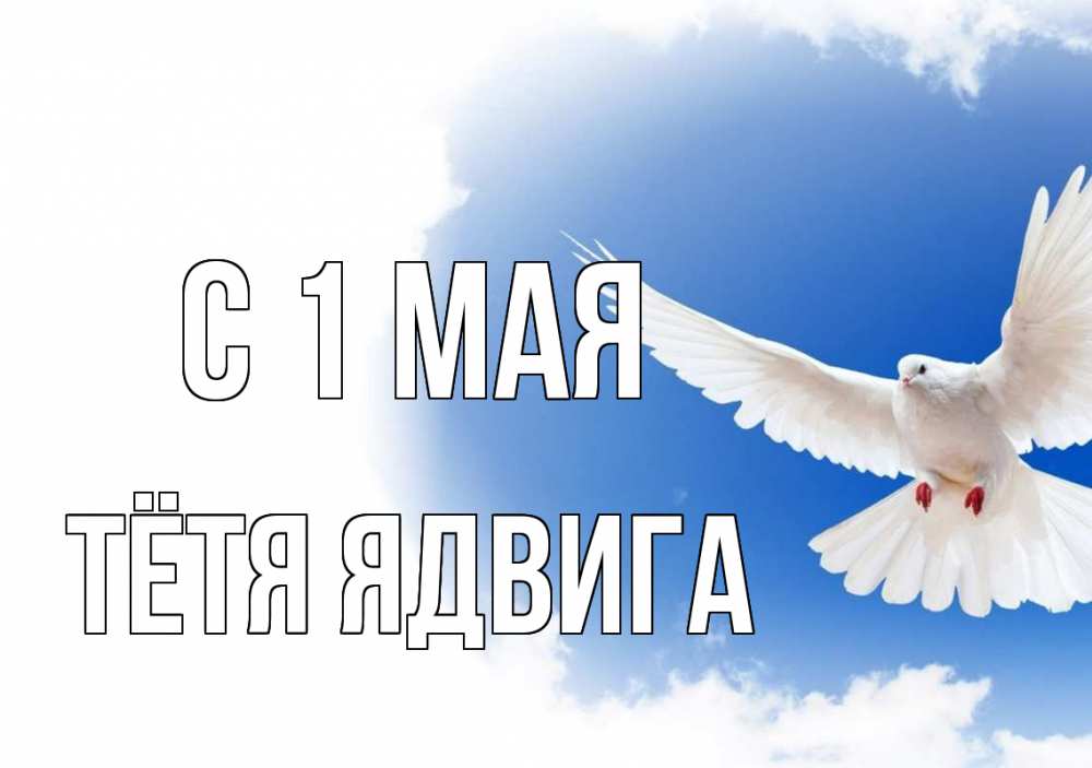 Открытка на каждый день с именем, Тётя-Ядвига С 1 мая С 1 мая Прикольная открытка с пожеланием онлайн скачать бесплатно 