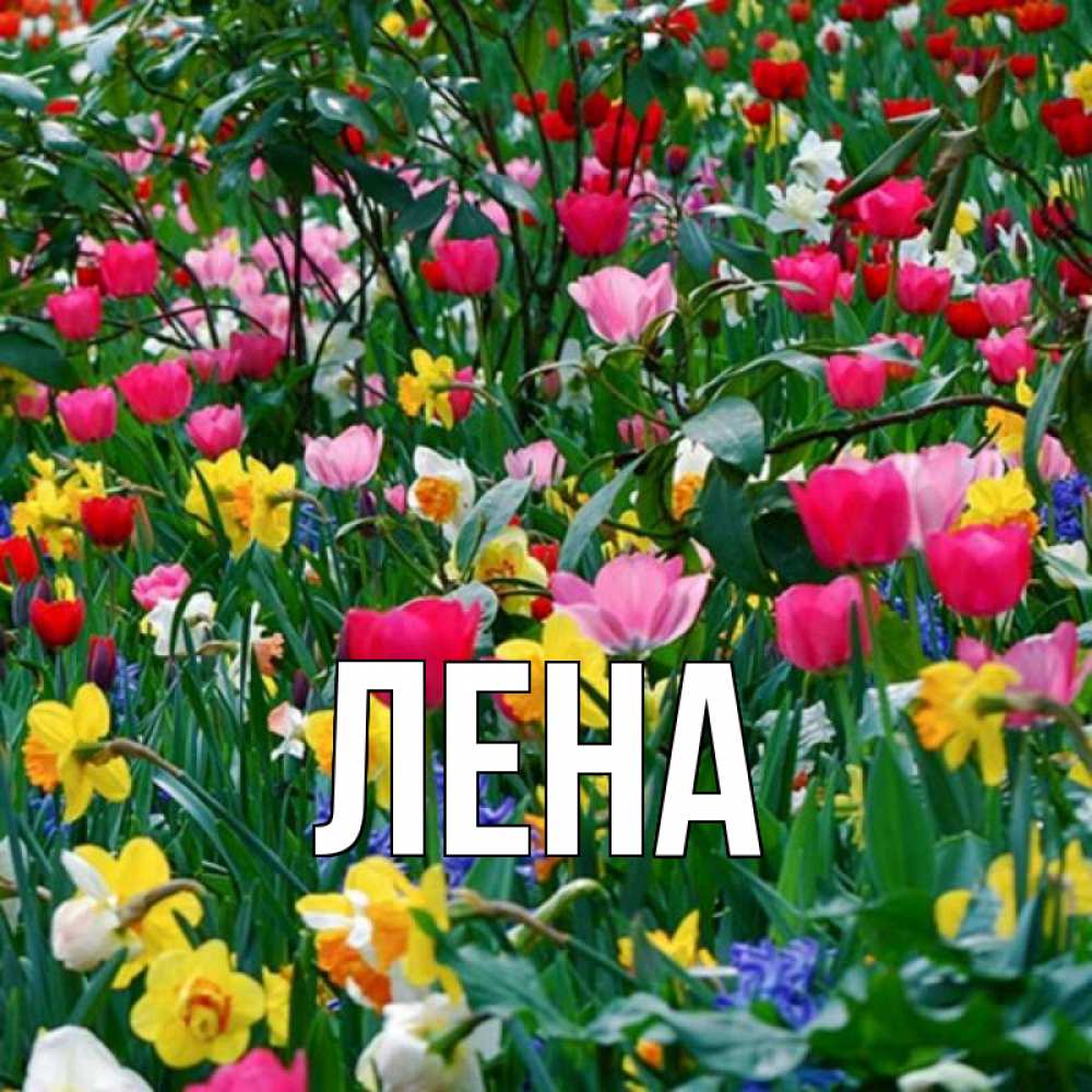 Открытка на каждый день с именем, Лена Главная с наурызом праздником весны поздравления для женщины Прикольная открытка с пожеланием онлайн скачать бесплатно 