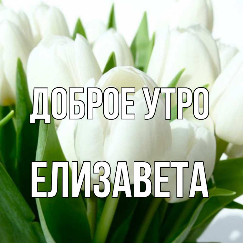 Картинки елизавета доброе утро