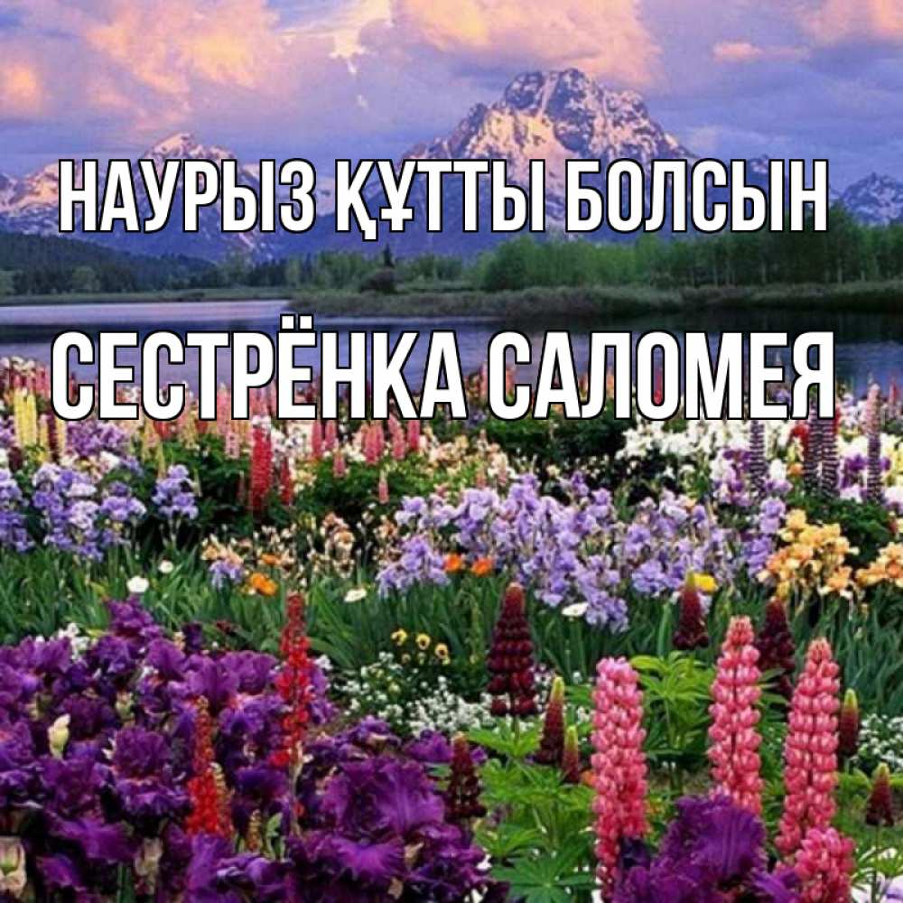 Открытка на каждый день с именем, Сестрёнка-Саломея Наурыз құтты болсын наурыз Прикольная открытка с пожеланием онлайн скачать бесплатно 