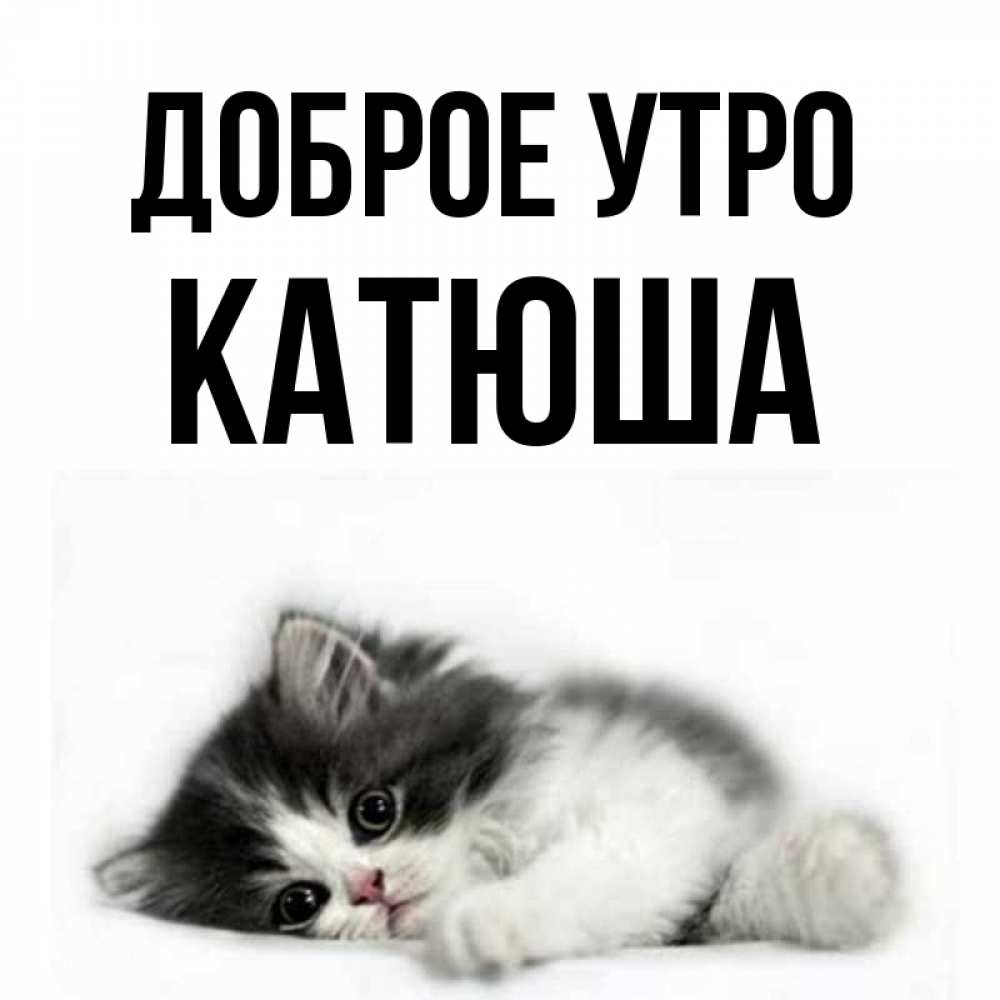 Привет катюша картинки