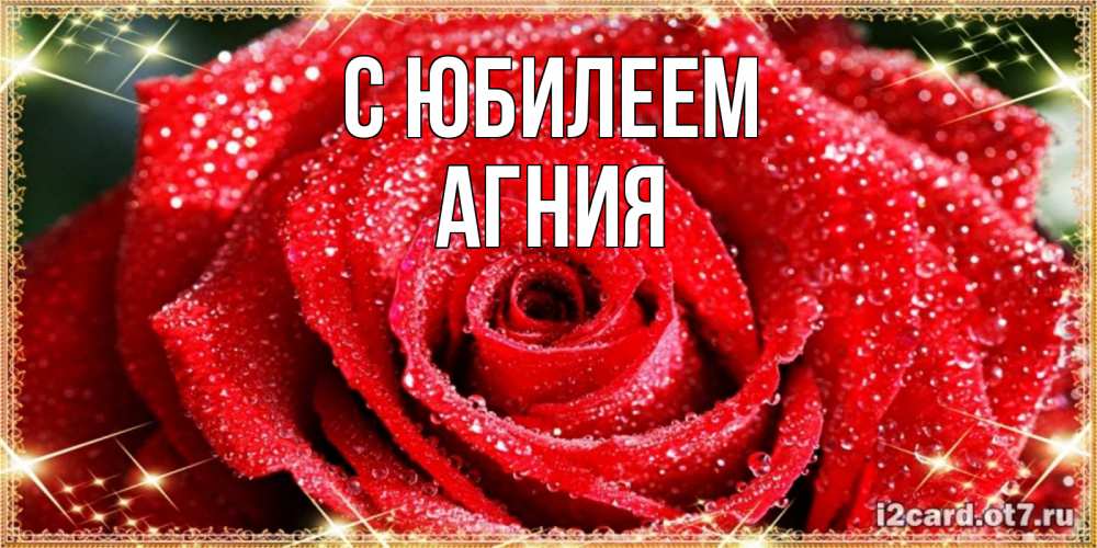 Открытка на каждый день с именем, Агния С юбилеем роса и роза. открытка с красивой розой Прикольная открытка с пожеланием онлайн скачать бесплатно 