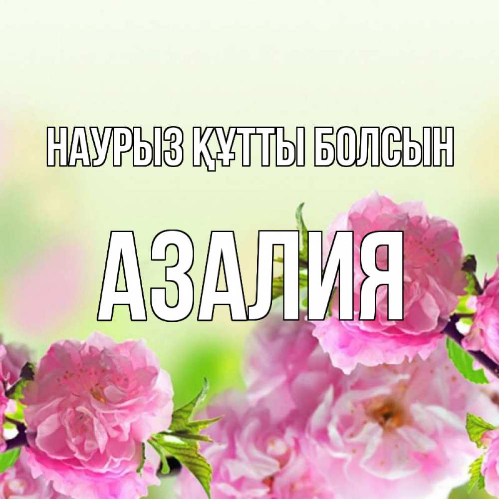 Открытка на каждый день с именем, Азалия Наурыз құтты болсын цветы Прикольная открытка с пожеланием онлайн скачать бесплатно 