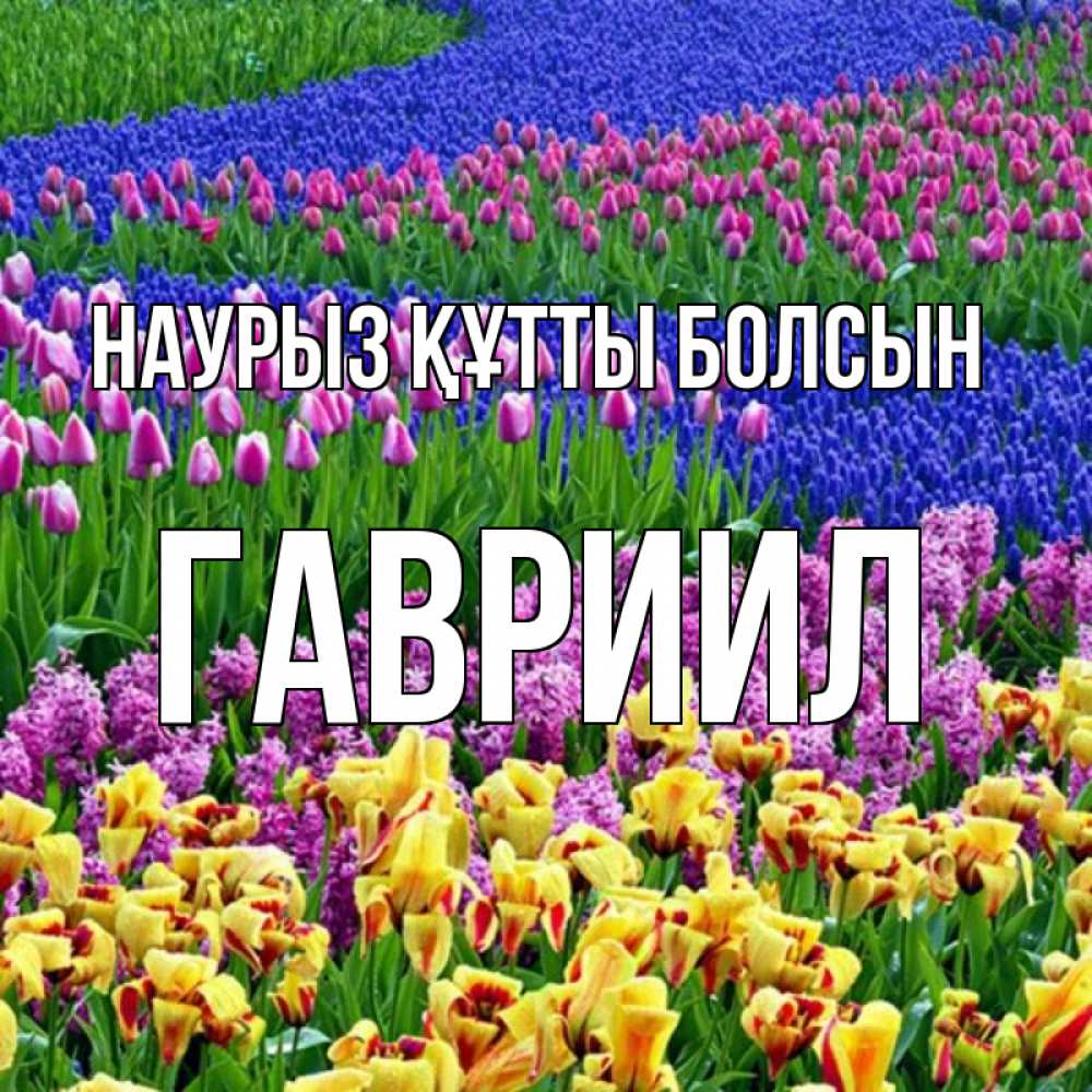 Открытка на каждый день с именем, Гавриил Наурыз құтты болсын цветы Прикольная открытка с пожеланием онлайн скачать бесплатно 