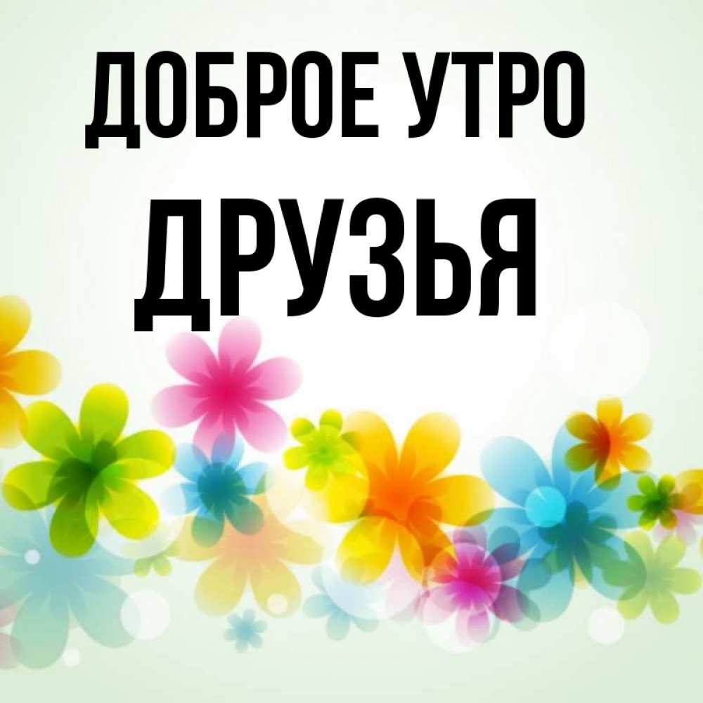Открытка на каждый день с именем, Друзья Доброе утро позитивные цветочки Прикольная открытка с пожеланием онлайн скачать бесплатно 