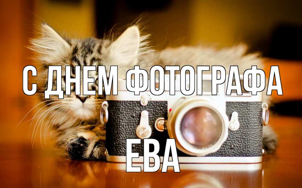 Открытка на каждый день с именем, Ева С днем фотографа с днем фотографа Прикольная открытка с пожеланием онлайн скачать бесплатно 