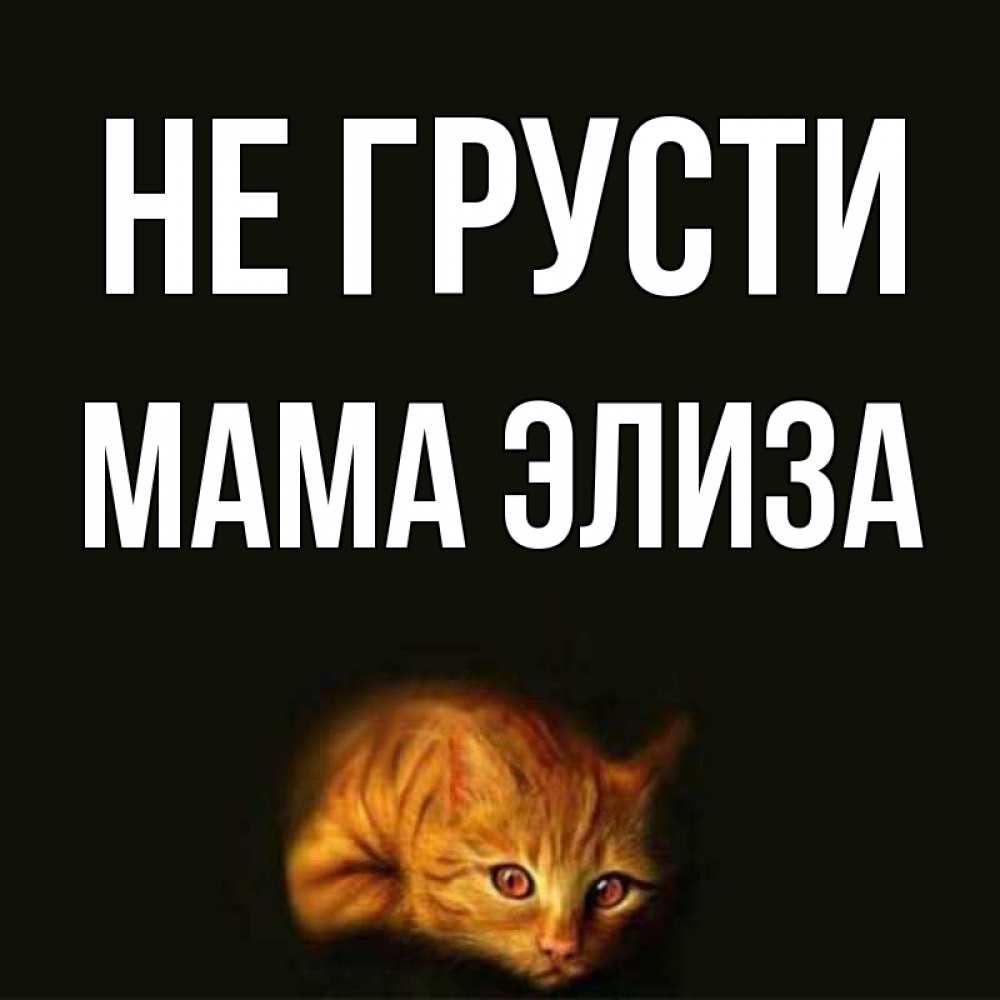 Открытка на каждый день с именем, Мама-Элиза Не грусти лежащий кот в темноте Прикольная открытка с пожеланием онлайн скачать бесплатно 