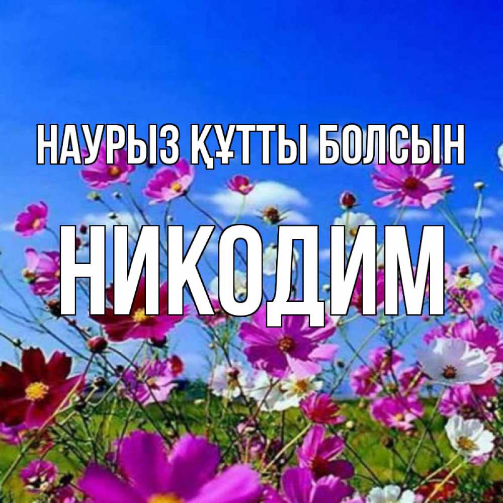 Открытка на каждый день с именем, Никодим Наурыз құтты болсын цветы Прикольная открытка с пожеланием онлайн скачать бесплатно 