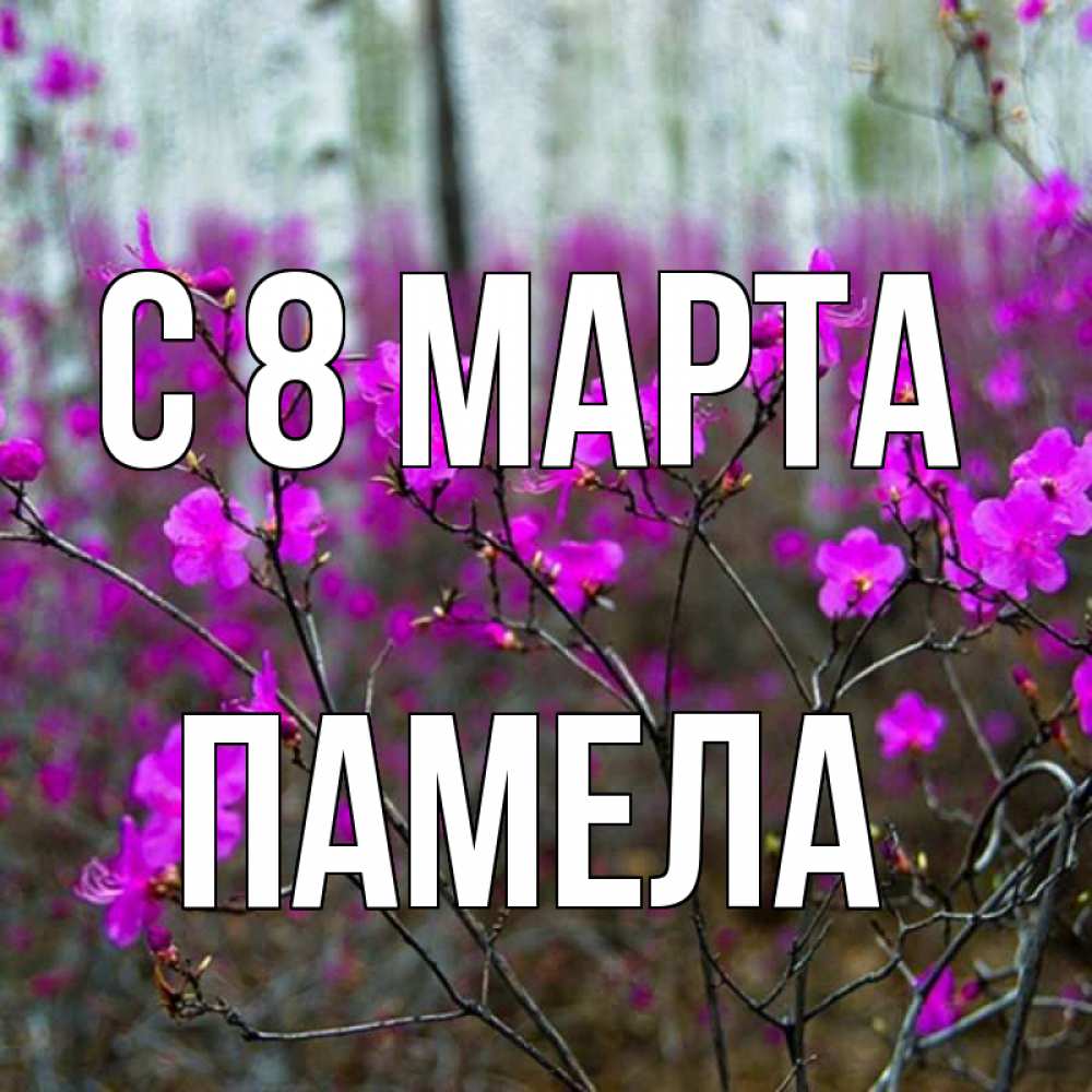 Открытка на каждый день с именем, Памела С 8 МАРТА дикие цветы Прикольная открытка с пожеланием онлайн скачать бесплатно 