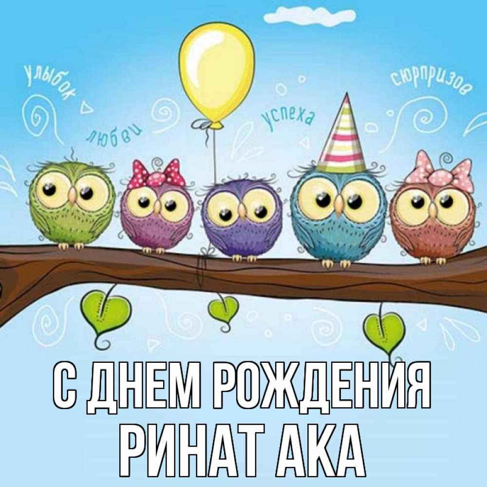 Открытка на каждый день с именем, Ринат-ака С днем рождения совы Прикольная открытка с пожеланием онлайн скачать бесплатно 