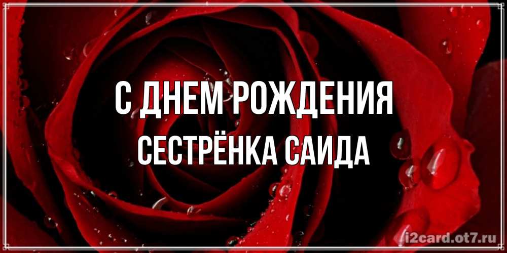 Открытка на каждый день с именем, Сестрёнка-Саида С днем рождения крупная бордовая роза Прикольная открытка с пожеланием онлайн скачать бесплатно 