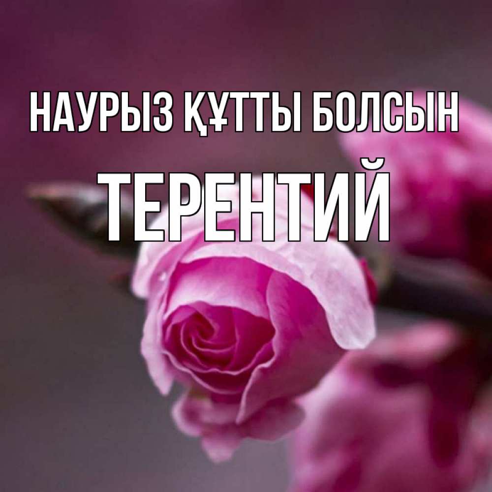 Открытка на каждый день с именем, Терентий Наурыз құтты болсын весна Прикольная открытка с пожеланием онлайн скачать бесплатно 
