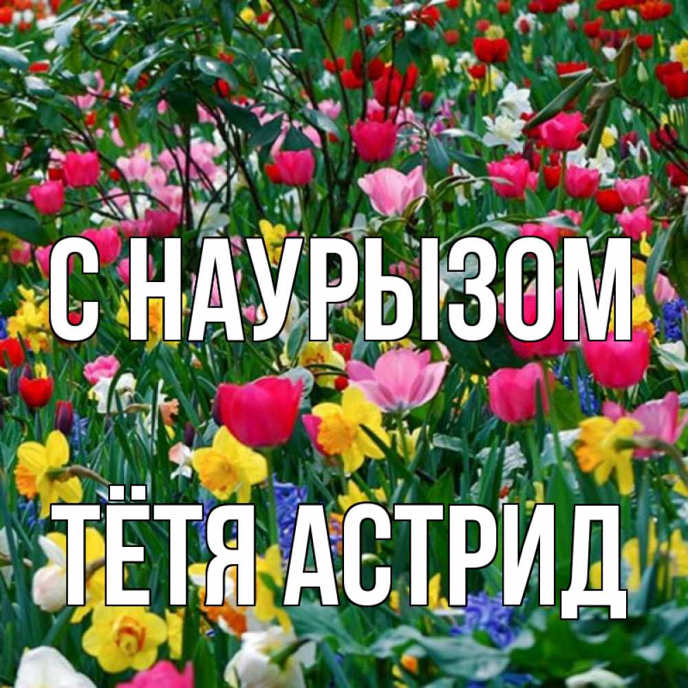 Открытка на каждый день с именем, Тётя-Астрид С наурызом с наурызом праздником весны поздравления для женщины Прикольная открытка с пожеланием онлайн скачать бесплатно 