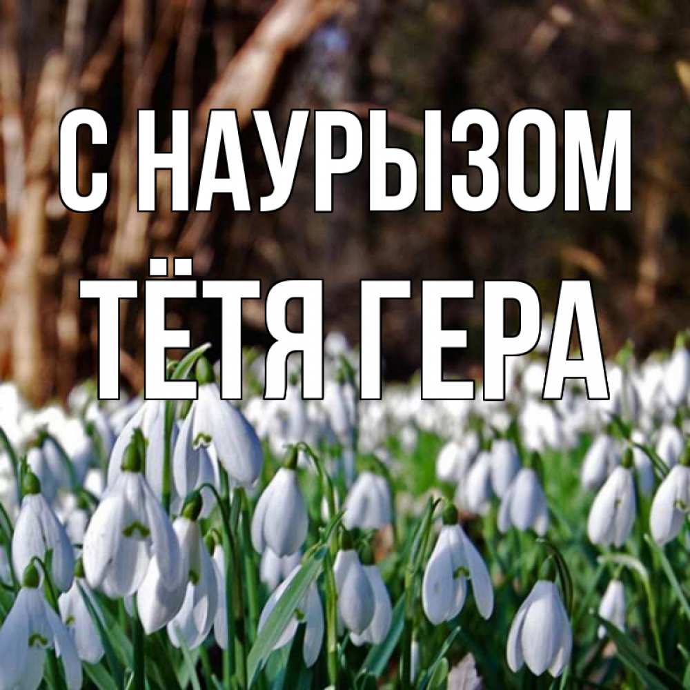 Открытка на каждый день с именем, Тётя-Гера С наурызом с подснежниками 1 Прикольная открытка с пожеланием онлайн скачать бесплатно 