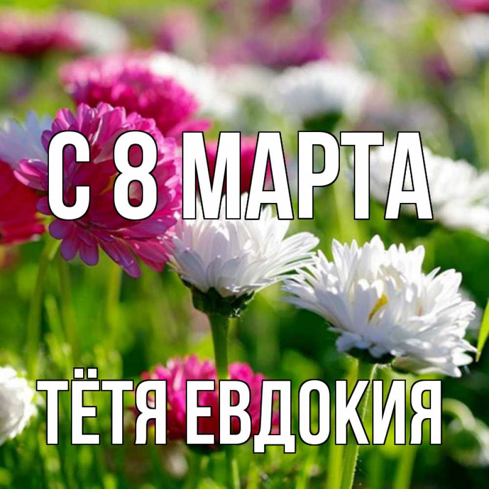 Открытка на каждый день с именем, Тётя-Евдокия С 8 МАРТА международный женский день 1 Прикольная открытка с пожеланием онлайн скачать бесплатно 