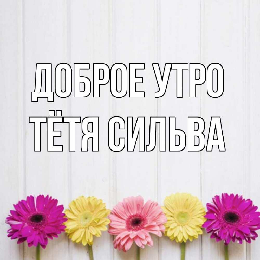 Открытка на каждый день с именем, Тётя-Сильва Доброе утро красный желтый и розовый цветок Прикольная открытка с пожеланием онлайн скачать бесплатно 