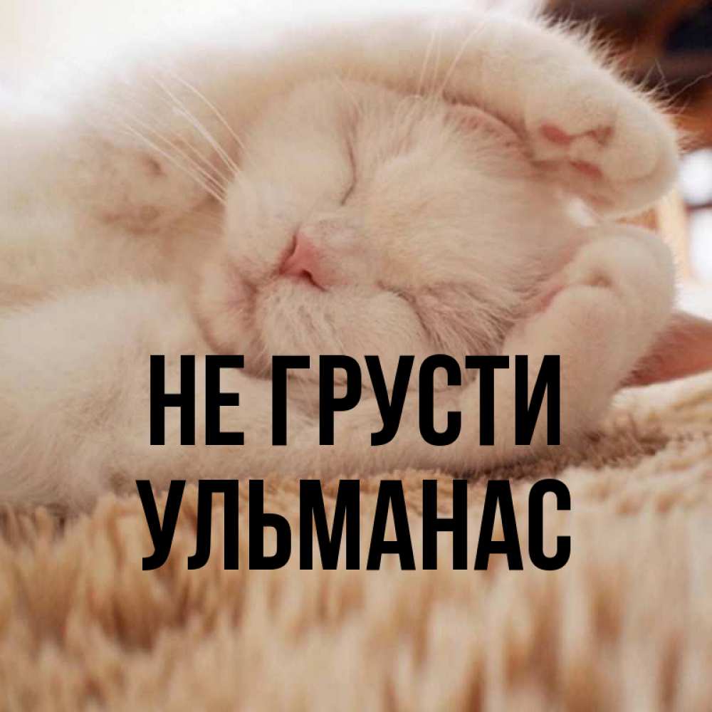 Открытка на каждый день с именем, Ульманас Не грусти Котенок спит Прикольная открытка с пожеланием онлайн скачать бесплатно 