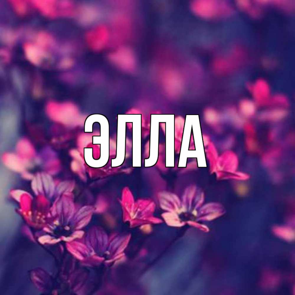 Открытка на каждый день с именем, Элла Главная небольшие цветы 1 Прикольная открытка с пожеланием онлайн скачать бесплатно 