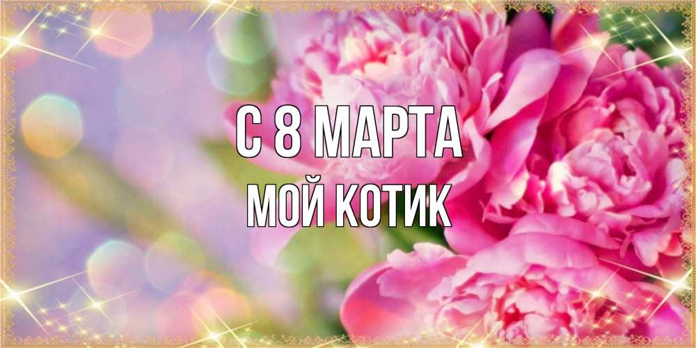 Открытка на каждый день с именем, мой-Котик С 8 МАРТА красивые открытки с текстом для любимых дам Прикольная открытка с пожеланием онлайн скачать бесплатно 