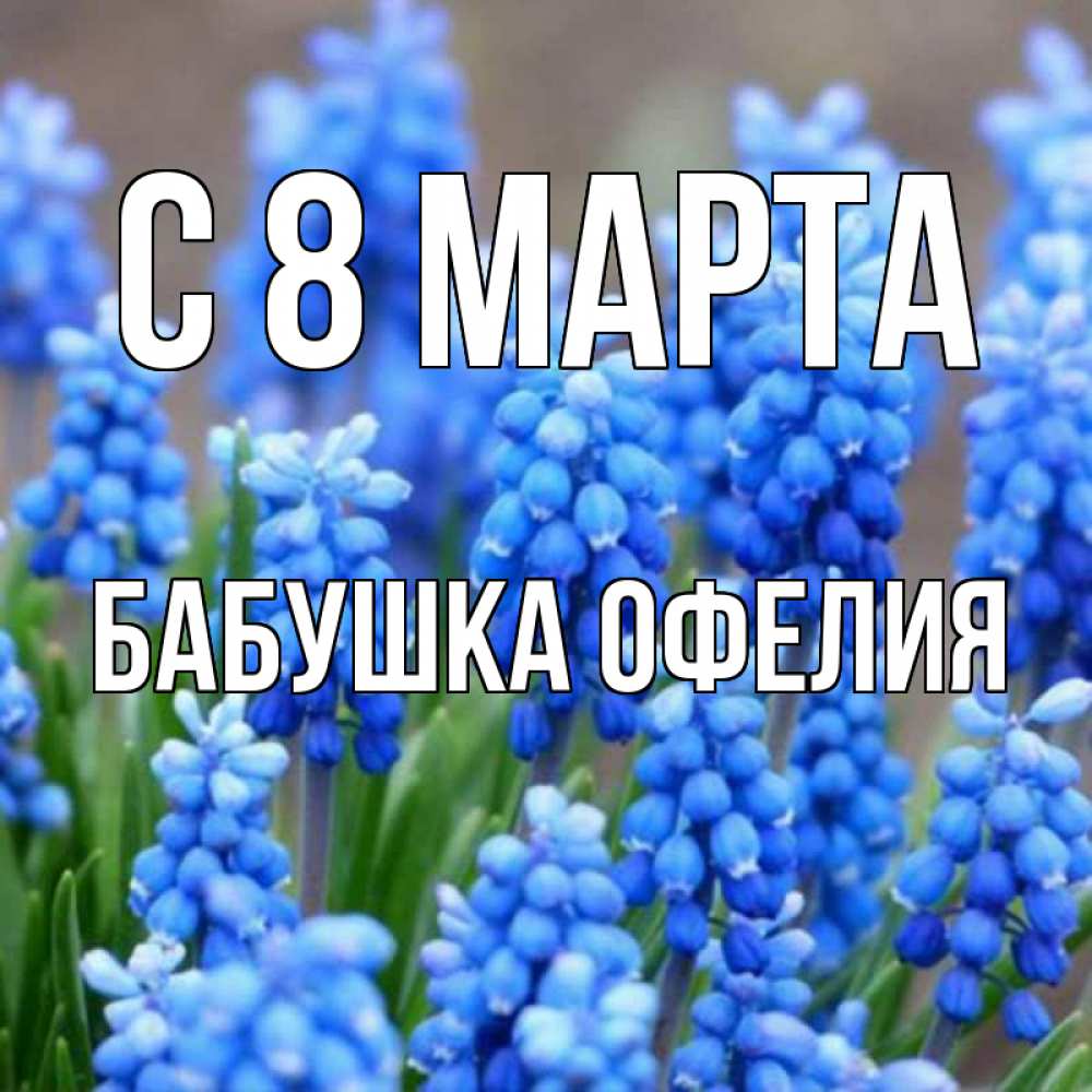 Открытка на каждый день с именем, Бабушка-Офелия С 8 марта Поздравительная открытка для женщин с цветами на праздничную дату Прикольная открытка с пожеланием онлайн скачать бесплатно 