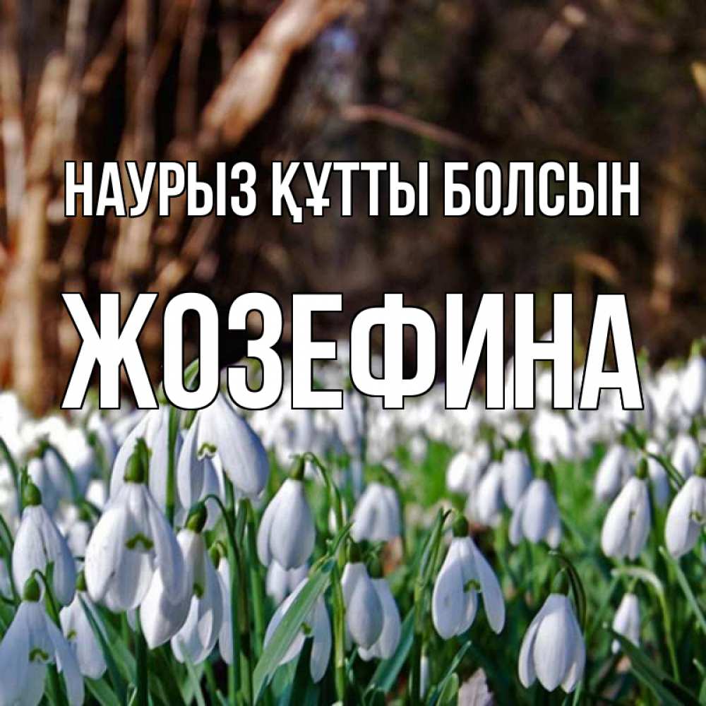 Открытка на каждый день с именем, Жозефина Наурыз құтты болсын с подснежниками 1 Прикольная открытка с пожеланием онлайн скачать бесплатно 
