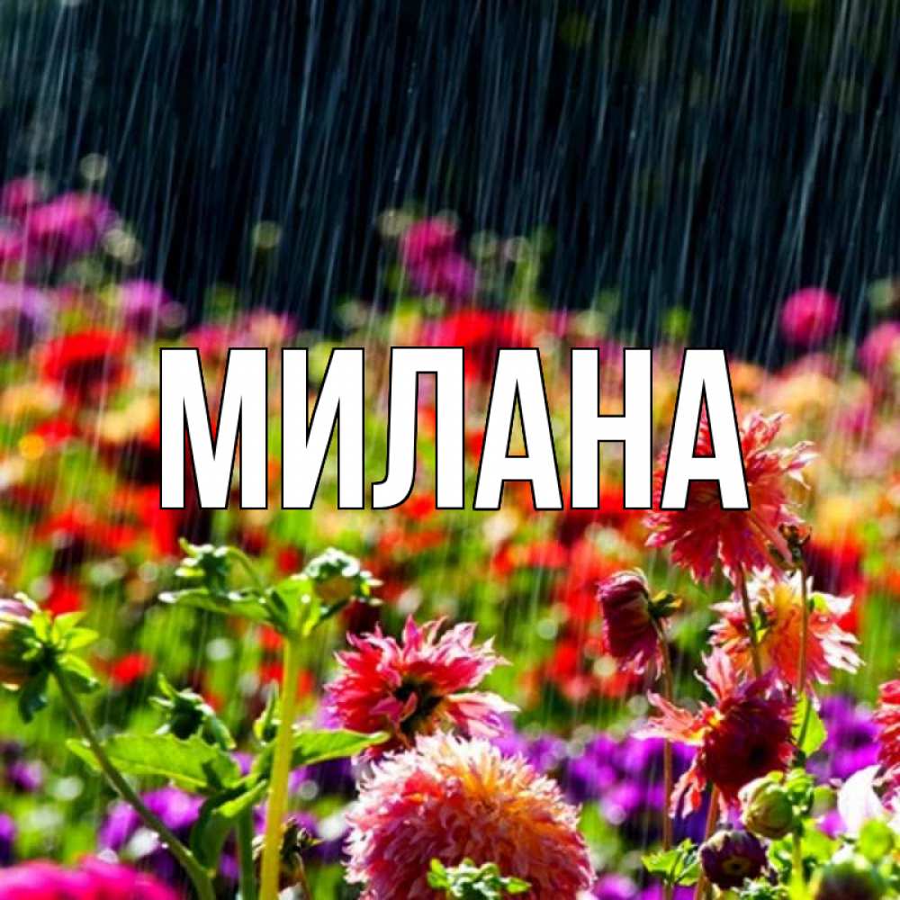 Фото имени милана