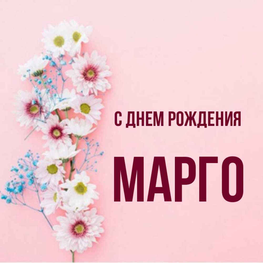 Марго с днем рождения картинки