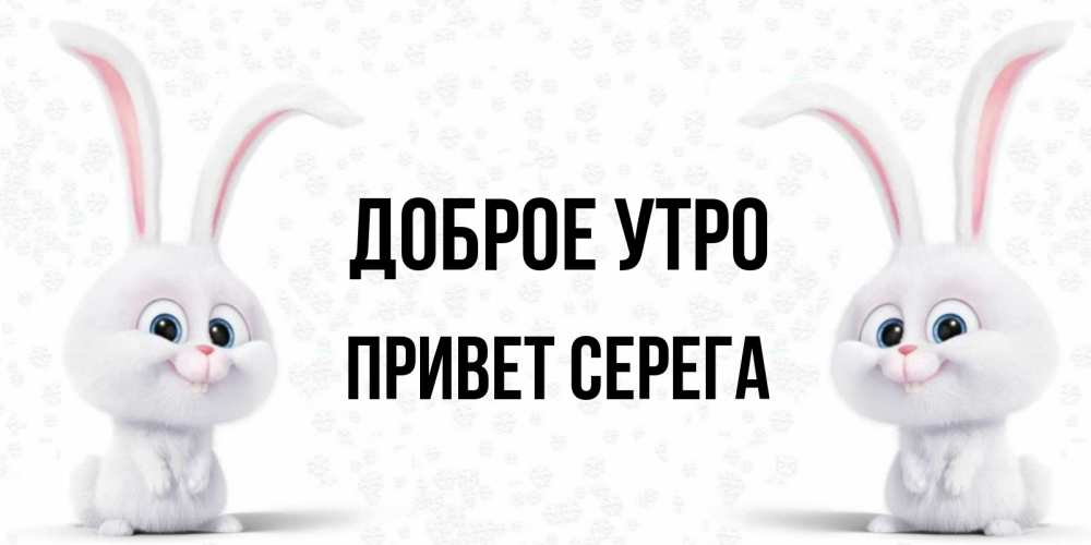 Серега с добрым утром картинки прикольные