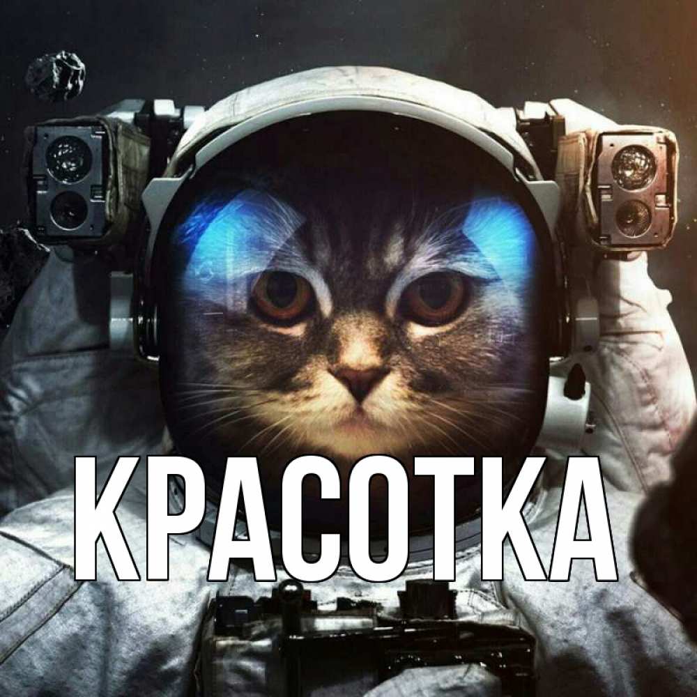 Открытка на каждый день с именем, красотка Главная желает удачно добраться Прикольная открытка с пожеланием онлайн скачать бесплатно 