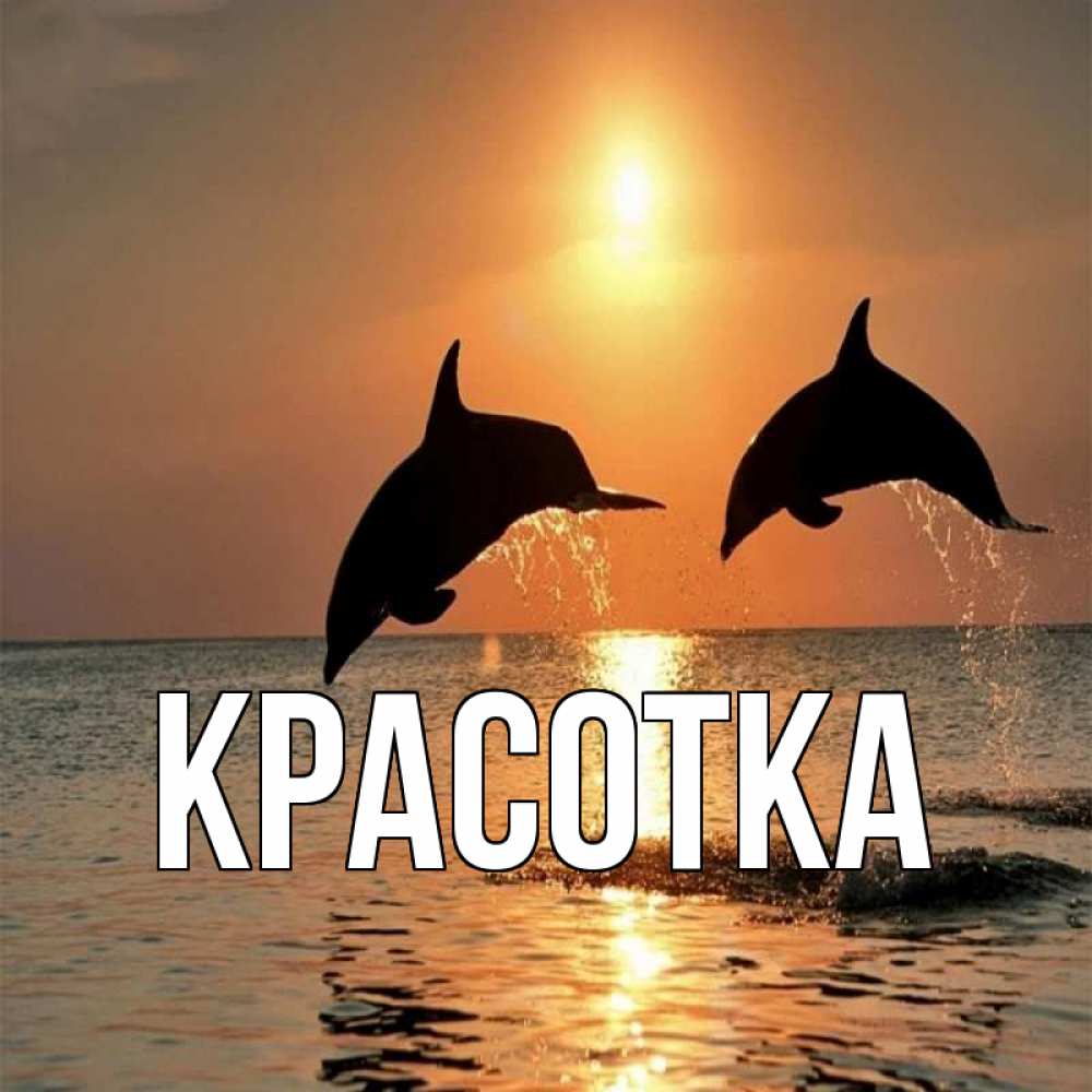 Открытка на каждый день с именем, красотка Главная рыбы на закате Прикольная открытка с пожеланием онлайн скачать бесплатно 