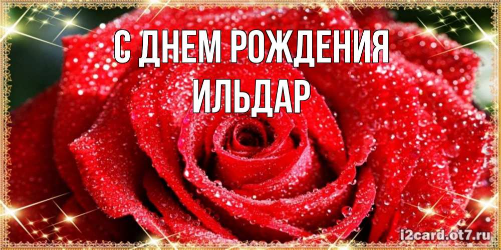 Открытка на каждый день с именем, Ильдар С днем рождения роса и роза. открытка с красивой розой Прикольная открытка с пожеланием онлайн скачать бесплатно 
