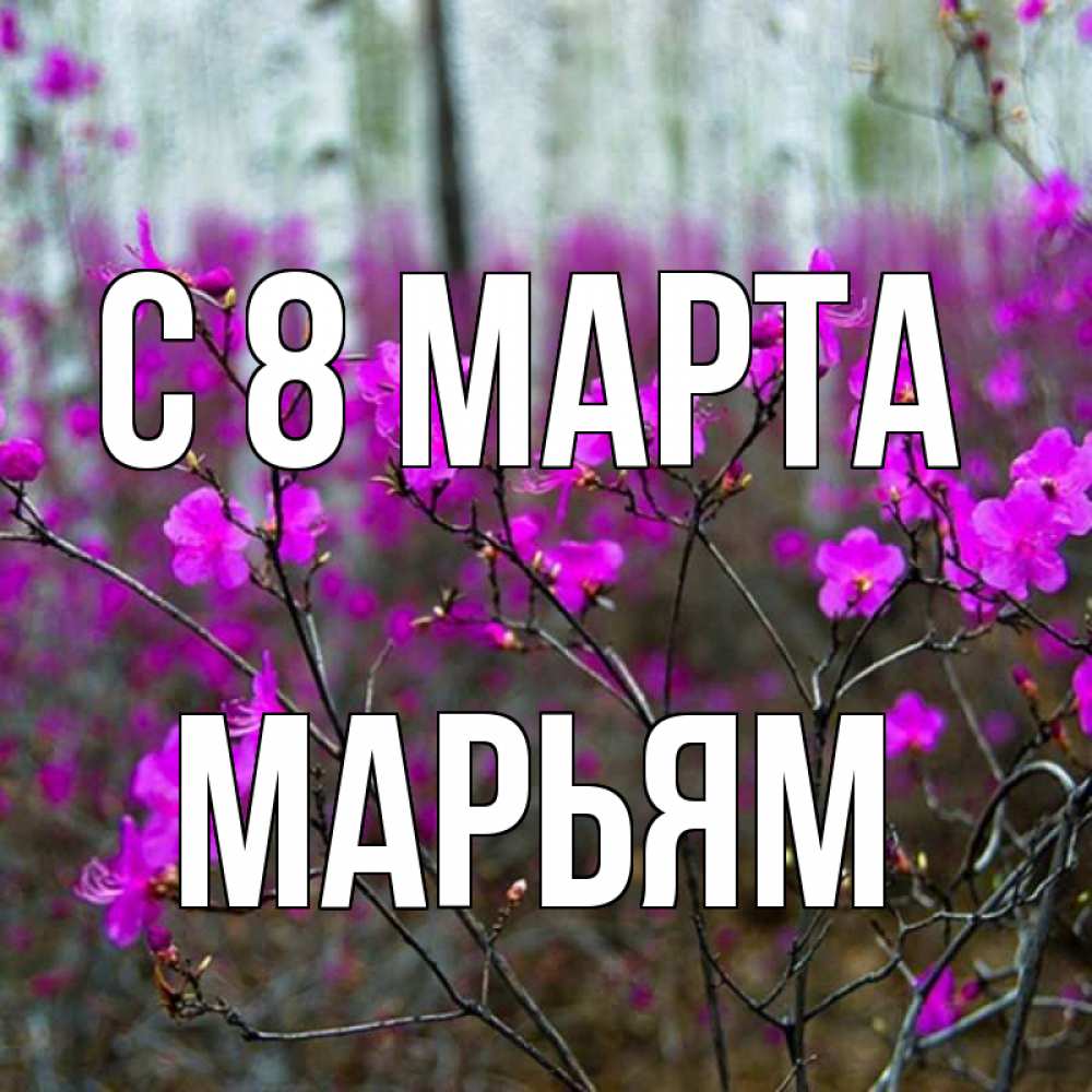 Открытка на каждый день с именем, Марьям С 8 МАРТА дикие цветы Прикольная открытка с пожеланием онлайн скачать бесплатно 